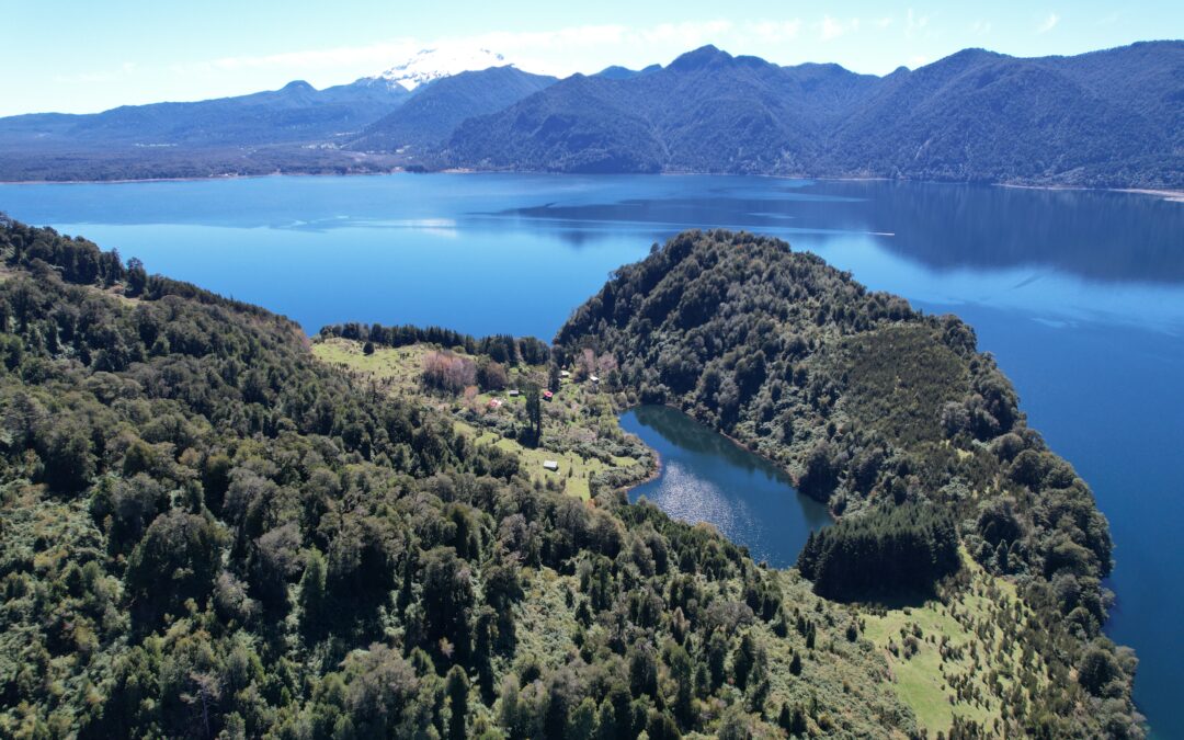 La Cabeza – Pichi laguna