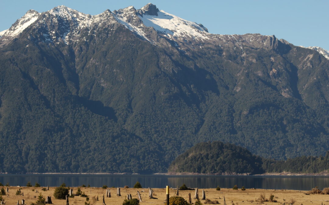 La Cabeza y Zona de Tocones