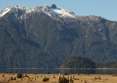 La Cabeza y Zona de Tocones
