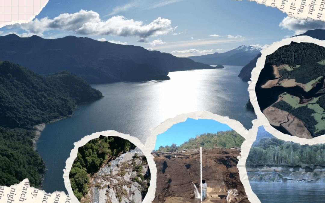 Campaña de educación La cuenca del lago Chapo Bajo un Proceso de Destrucción