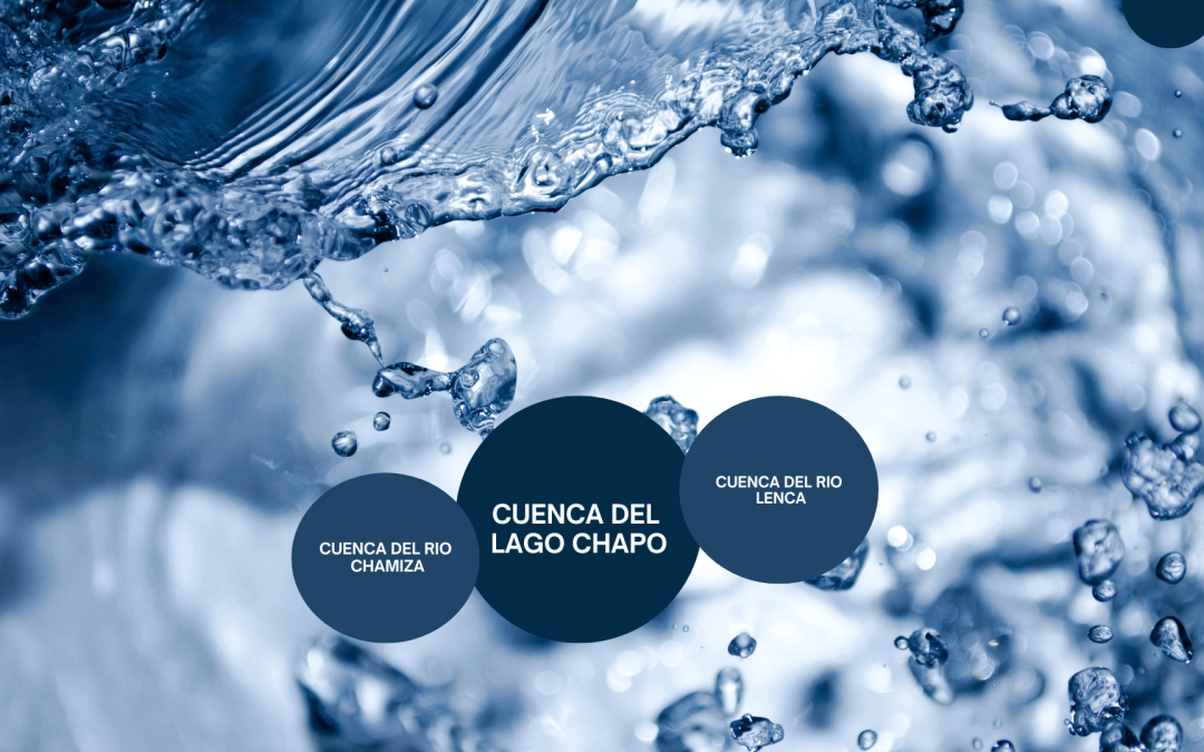 Campaña de educación, El triple Saqueo de Agua que Chile Desconoce